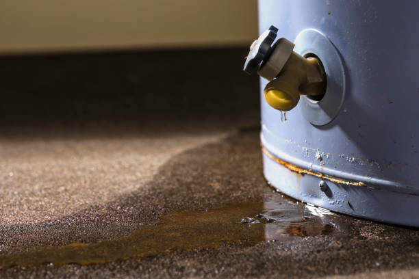 Best Sewage cleanup and water damage restoration  in St Maries, ID