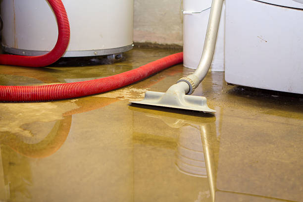 Best Fire Damage Restoration  in St Maries, ID