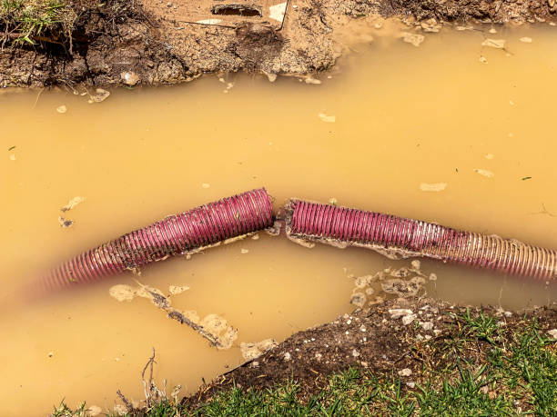Best Water damage restoration specialists  in St Maries, ID
