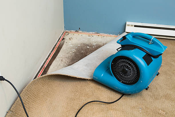 Best Water damage restoration company  in St Maries, ID